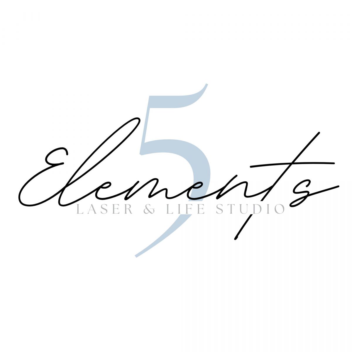 5 Elements logo